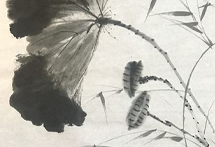 瑞安检察 林晓洁《莲》